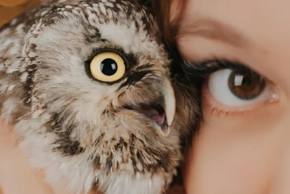 Efbet Casino Ënnerstëtzung